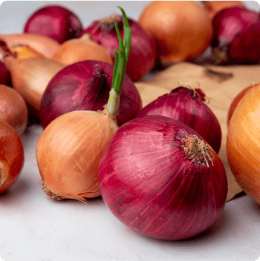 Red & Garva Onions